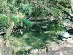 -贵阳市花溪国家城市湿地公园