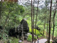 -梭布垭石林景区