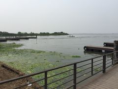 喜洋洋蟹庄农家乐-喜洋洋蟹庄(阳澄湖店)