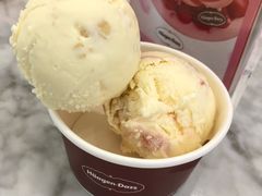 夏威夷果仁-哈根达斯(印力中心店)