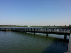 -武清南湖绿博园