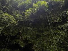 -海口火山口国家地质公园