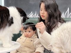 -安格丽娜·狗咖·猫咖羊驼咖(春熙路百盛商场店)