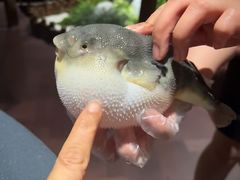 -肆月河豚·淮扬菜·湘菜(华天店)