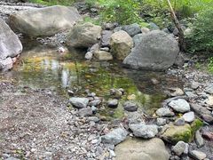 -云岫谷游猎自然风景区