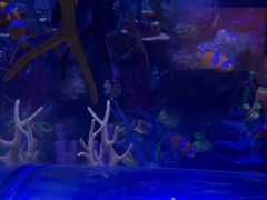 -沈阳海洋探索中心