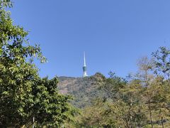 -梧桐山风景名胜区