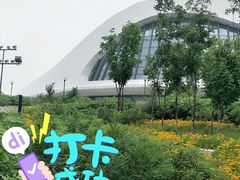 -哈尔滨大剧院
