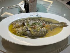 鸡油野生大黄鱼-贵州大厦贵州厅(樱花园西街店)