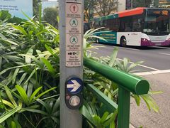 -詹爷爷乌节路街头冰淇淋