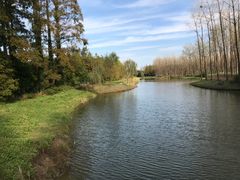 -黄海国家森林公园