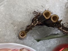 -洪氏嗨捞·猪肚鸡火锅(阳光天地店)