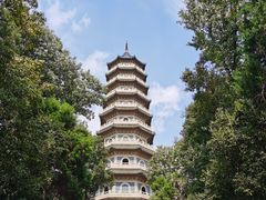 -灵谷景区
