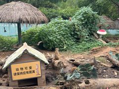 -无锡动物园·太湖欢乐园