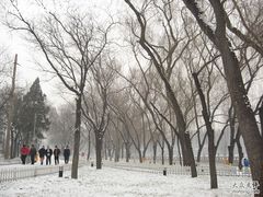 -迎泽公园