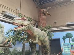 -国家自然博物馆