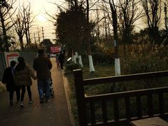 -白鹭湾湿地公园