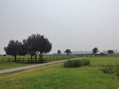 -汉长安城未央宫国家考古遗址公园