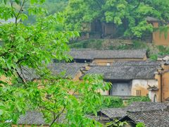 -杨家堂村