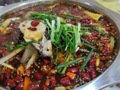 -乡土特色.冷锅鱼.牦牛肉汤锅