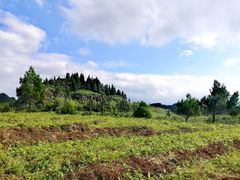 -山王坪喀斯特国家生态公园