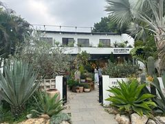 -自由生长植物工作室(深港花卉中心店)