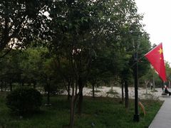 -唐城墙遗址公园