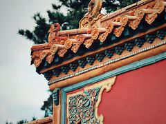 -北陵公园
