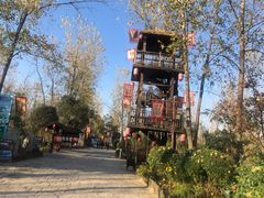 -合肥滨湖国家森林公园