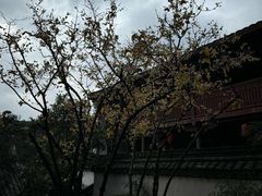 -宁波市保国寺古建筑博物馆