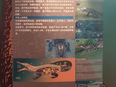 -上海海洋水族馆