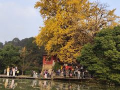 -佛荫寺