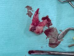 -同济大学附属口腔医院