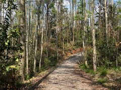 -青龙山国家森林公园
