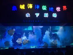 -泉城欧乐堡海洋极地世界
