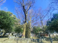 -西湖风景区十里琅珰-五云山