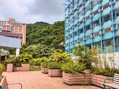 -香港大学
