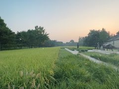 -北坞公园
