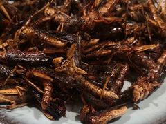 -柿子树炭烤羊腿(金台路店)