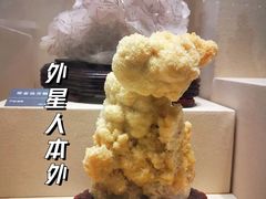 -安徽省地质博物馆