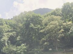-黔灵山公园