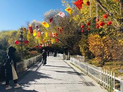 -宗角禄康公园