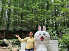 -日照海滨国家森林公园