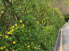 -贵阳市花溪国家城市湿地公园