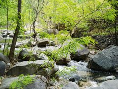 -灵溪风景区