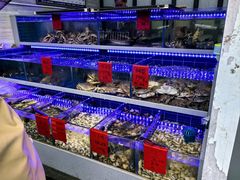 -金海湾海鲜排档(朱家尖店)