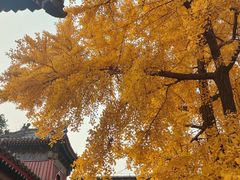 -承恩寺