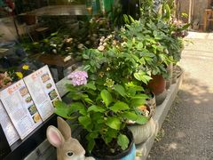 -家烧面馆【南山路知名经典面食】