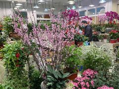 -双季花艺园艺市场(浦东店)