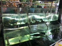 -恋拐子油爆虾·家常菜